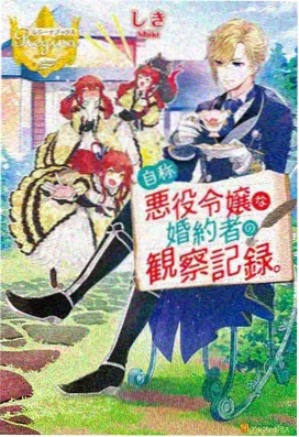 钢铁魔女冰霜契约 封面
